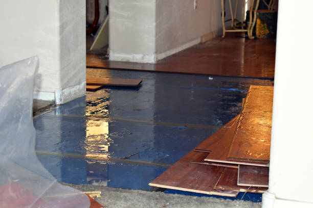 Professional Basement Flood Cleanup technician working in Sayreville, NJ